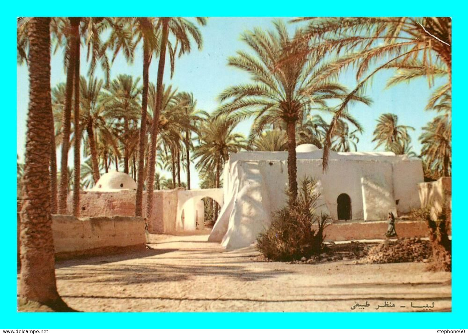 a857 / 475 Libye TRIPOLI Oasis Typical view