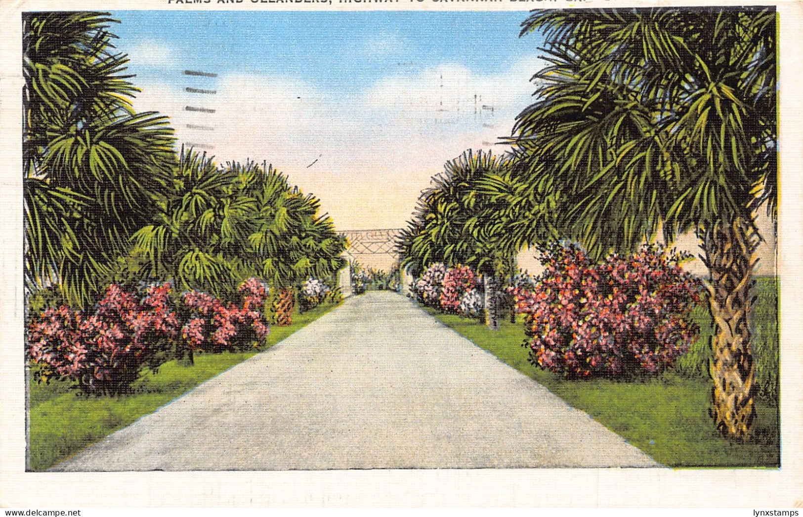 A901 US 1949 Palm Trees Avenue to Savannah Beach Georgia vintage postcard