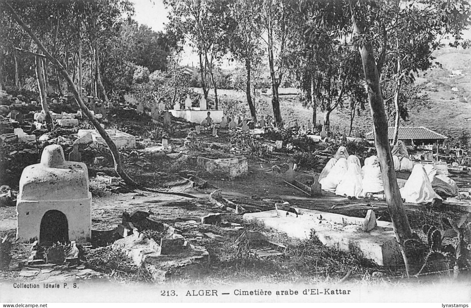 A902 Algeria Algiers Cimetiere arabe d'El Kattar Cemetery postcard