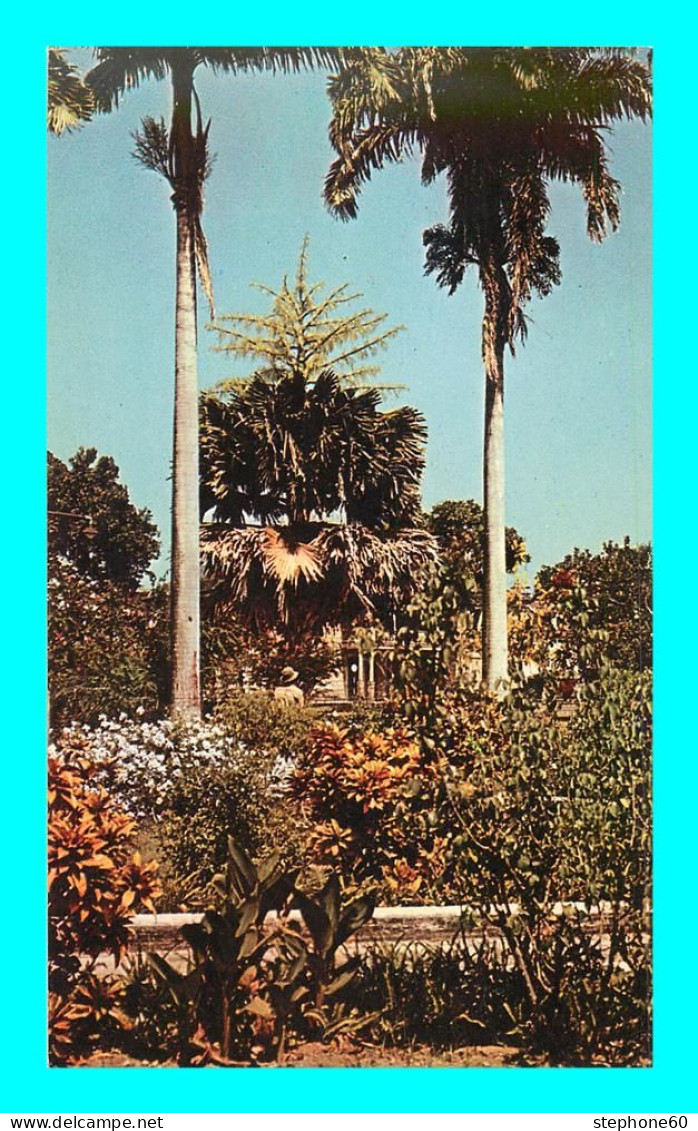 a912 / 561  In pall mall square St Kitts