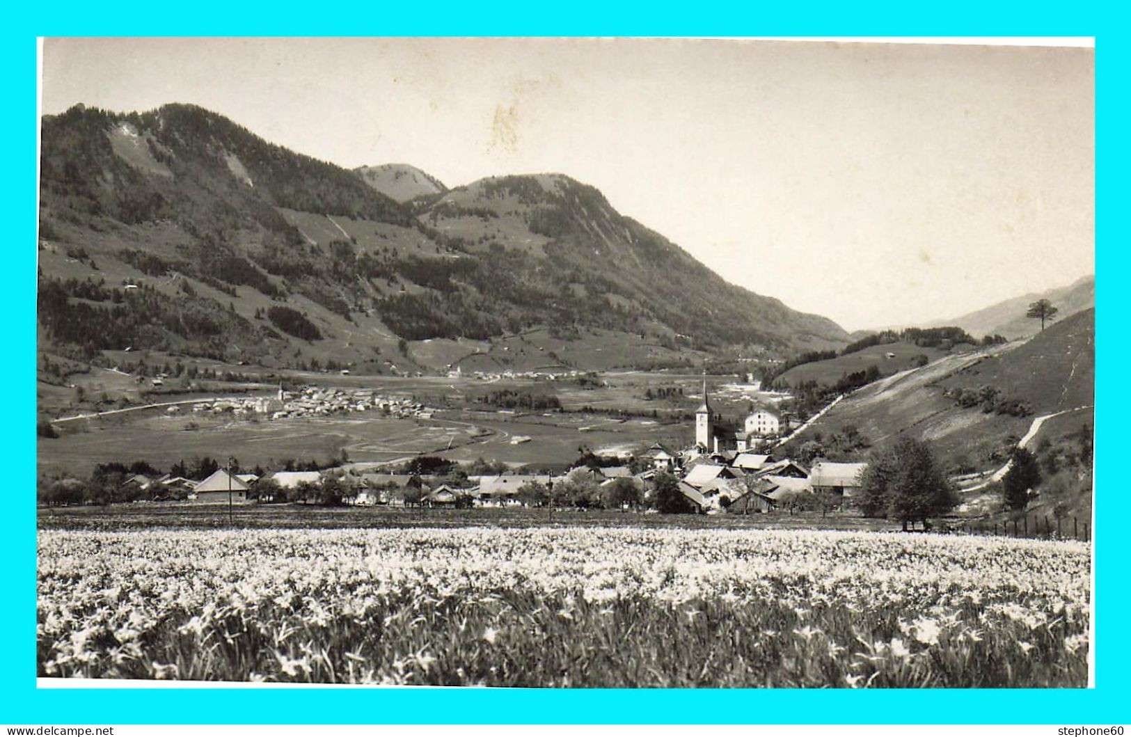 a957 / 417 Lessoc - Champ de narcisses