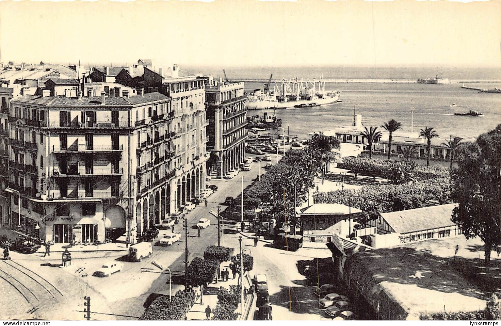 A960 Algeria Alger Algiers Boulevard Carnot RPPC vintage postcard