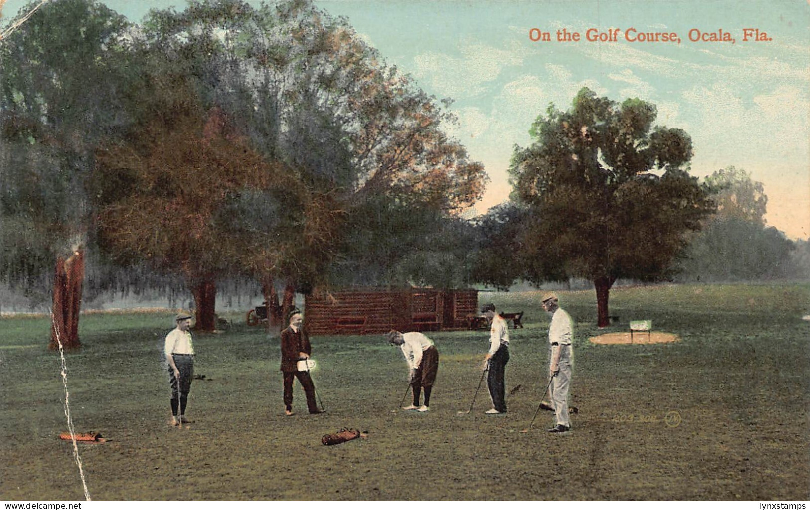 A971 US On the Golf Course Ocala Florida vintage postcard