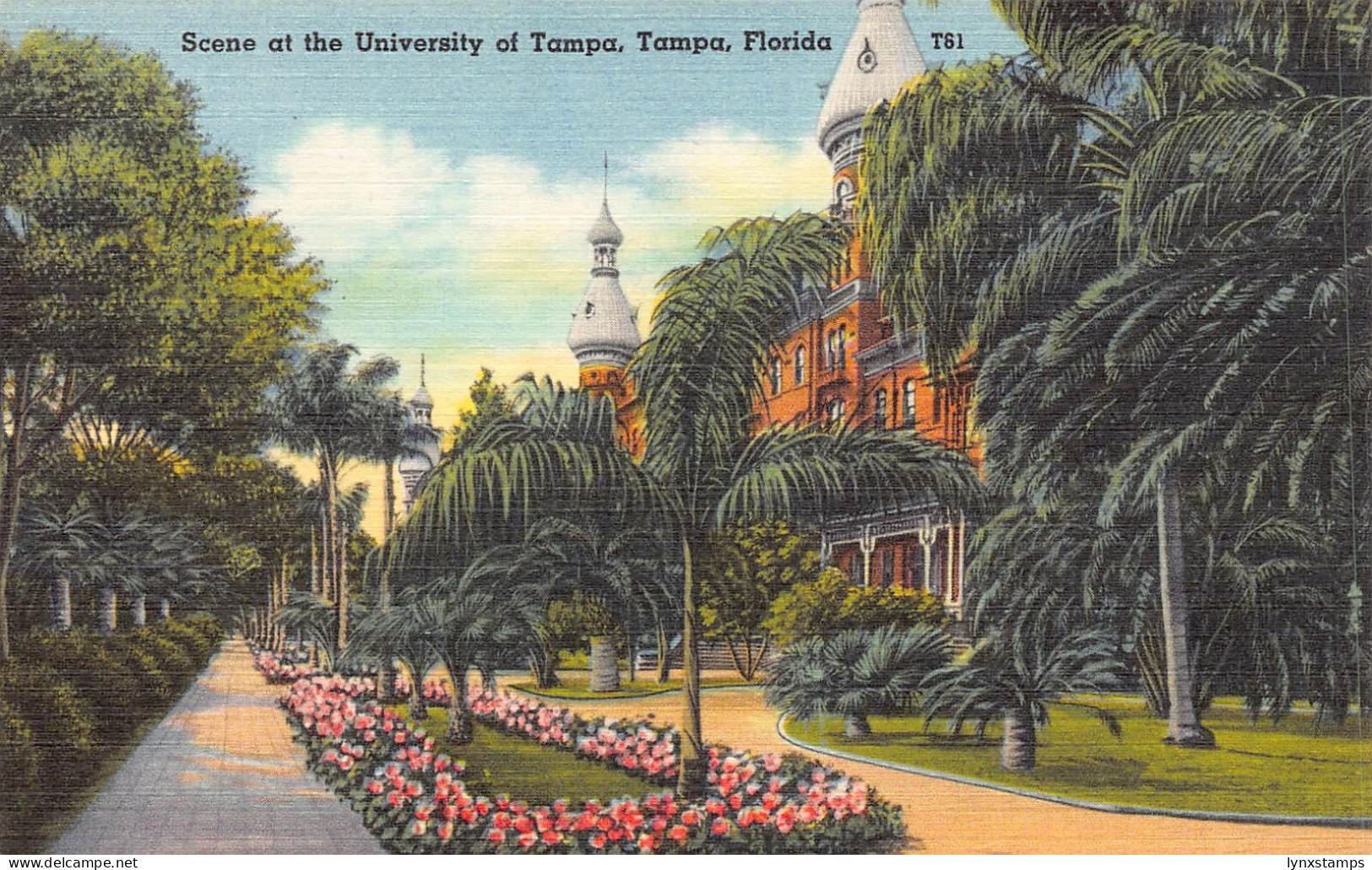 A988 US Florida Scene at University at Tampa vintage postcard