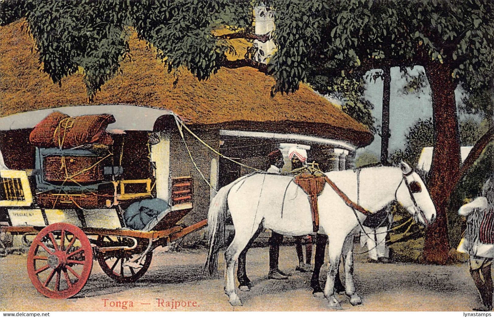A993 India Tonga Rajpore Rajpur Dokey Cart vintage postcard
