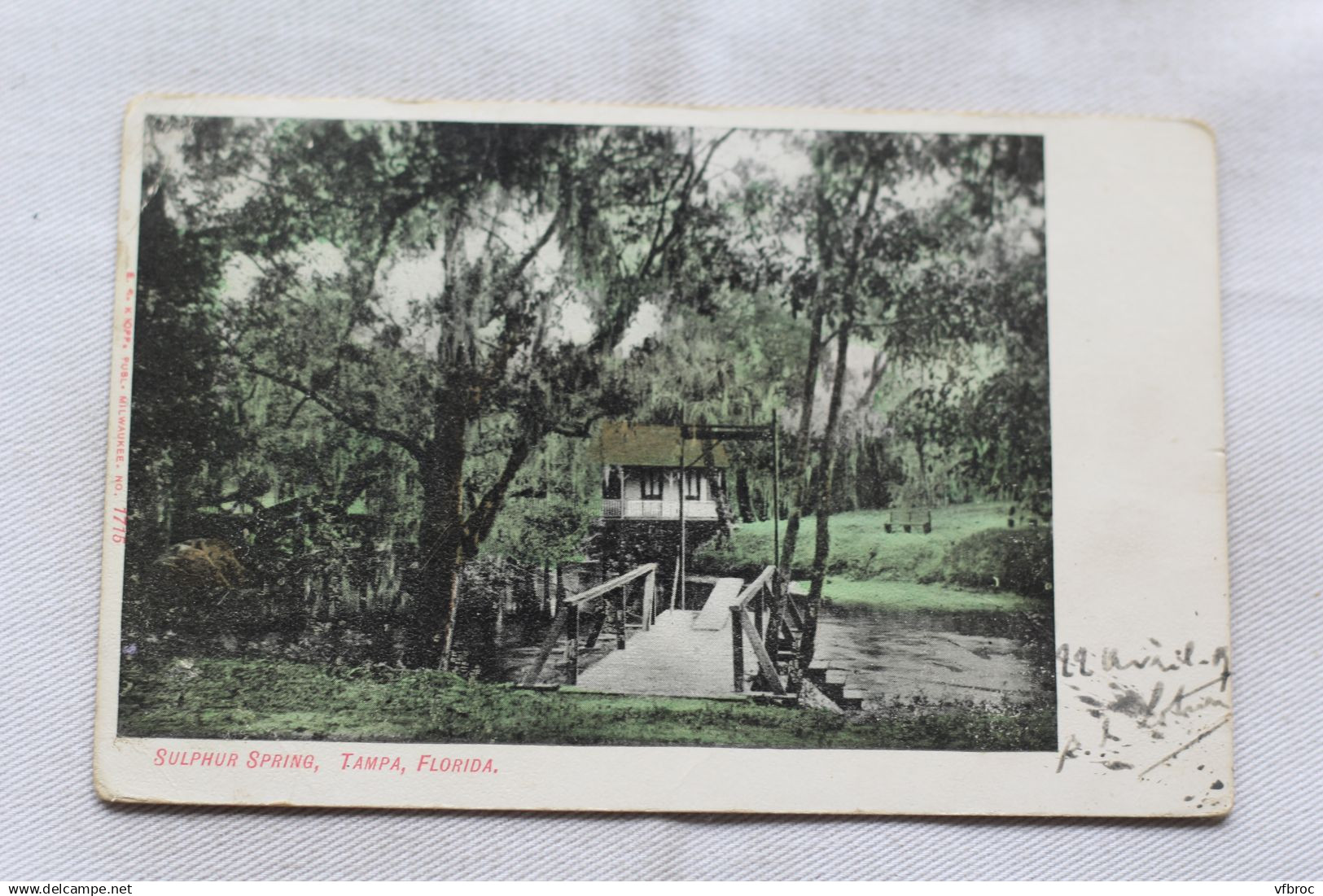 AA300, Cpa 1907, Tampa, Sulphur spring, USA, Etats Unis