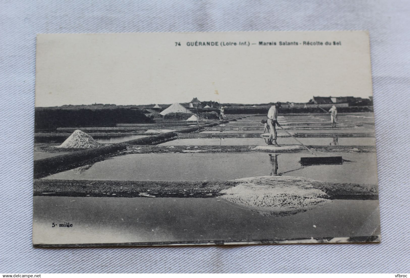 AA361, Guérande, marais salants, récolte du sel, Loire Atlantique 44