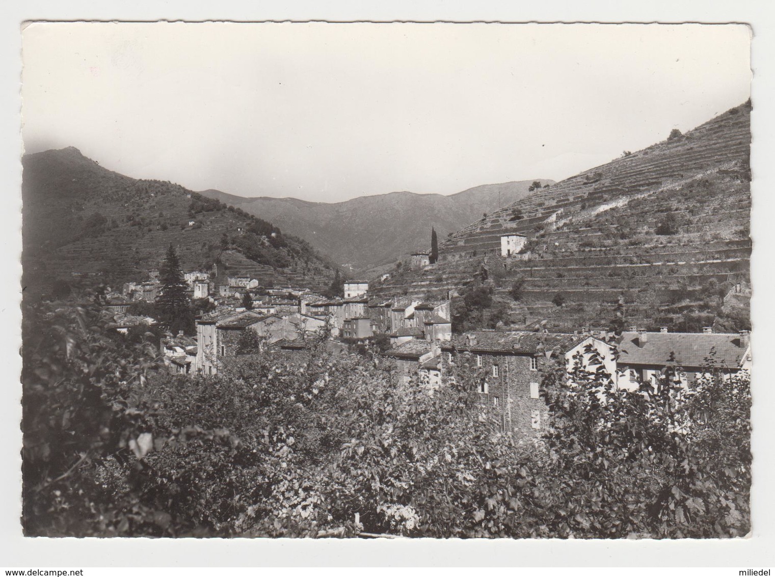 AA729 - VALLERAUGUE - Vue générale