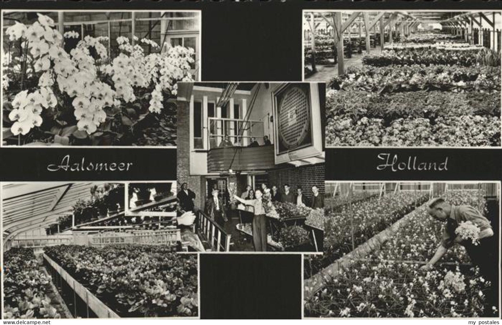 Aalsmeer Bloemencentrum