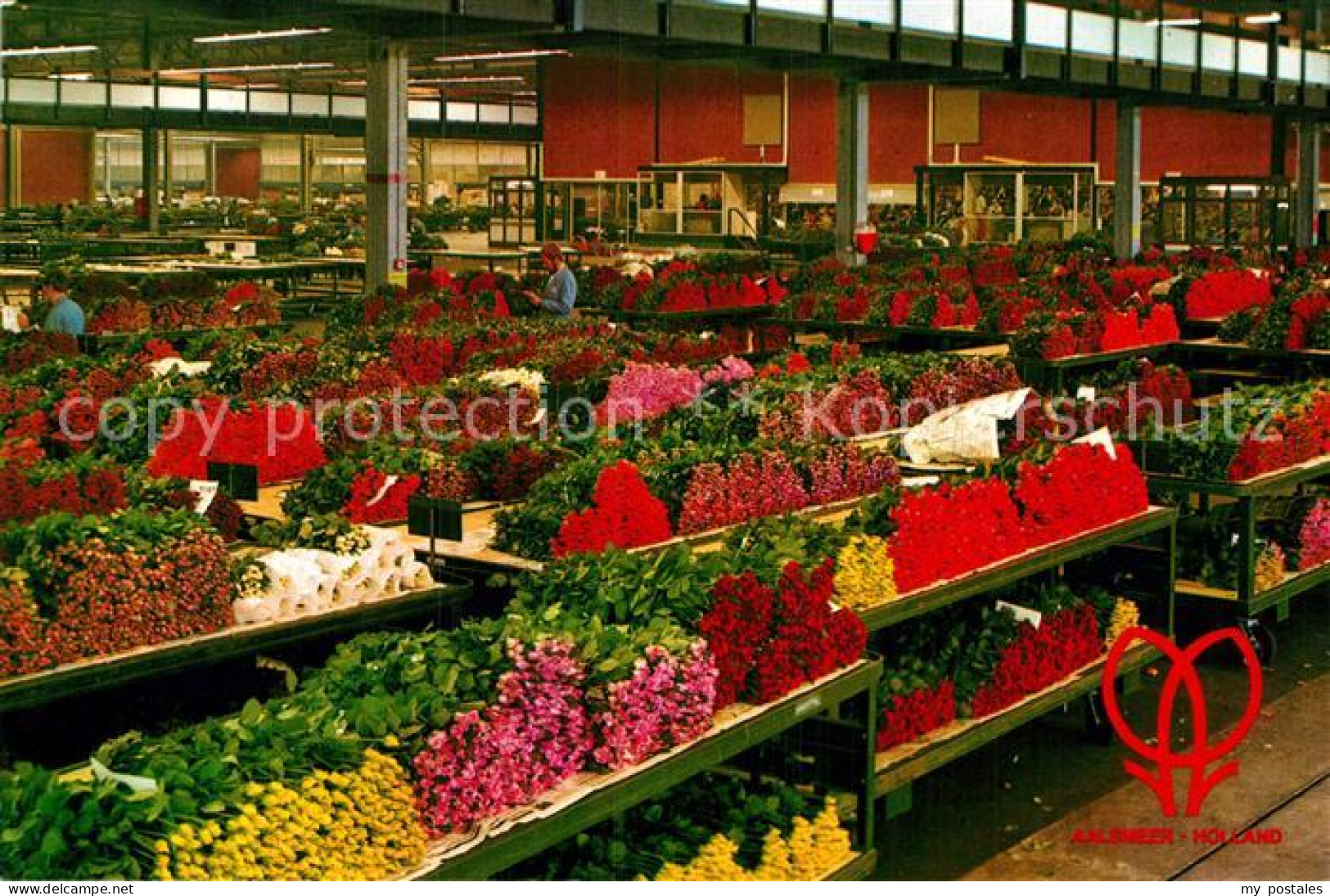 Aalsmeer Blumencenter