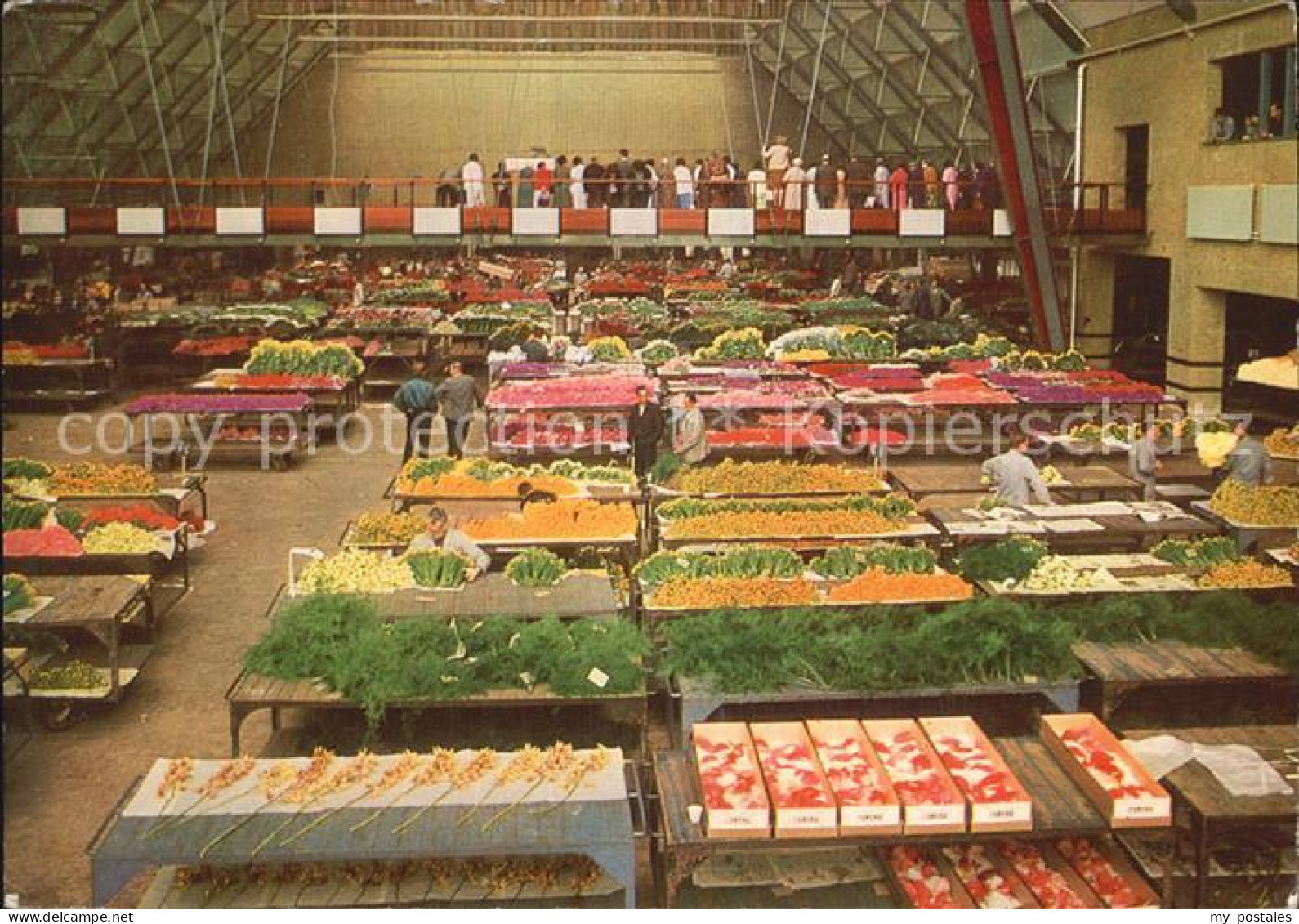 Aalsmeer Blumenmarkt