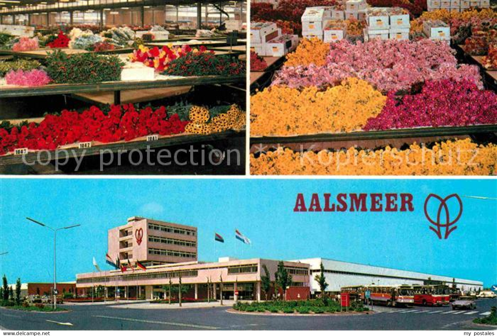 Aalsmeer Blumenmarkt