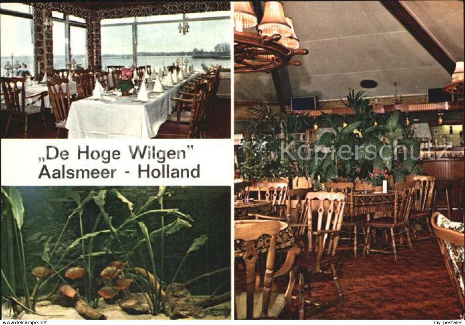 Aalsmeer De Hoge Wilgen