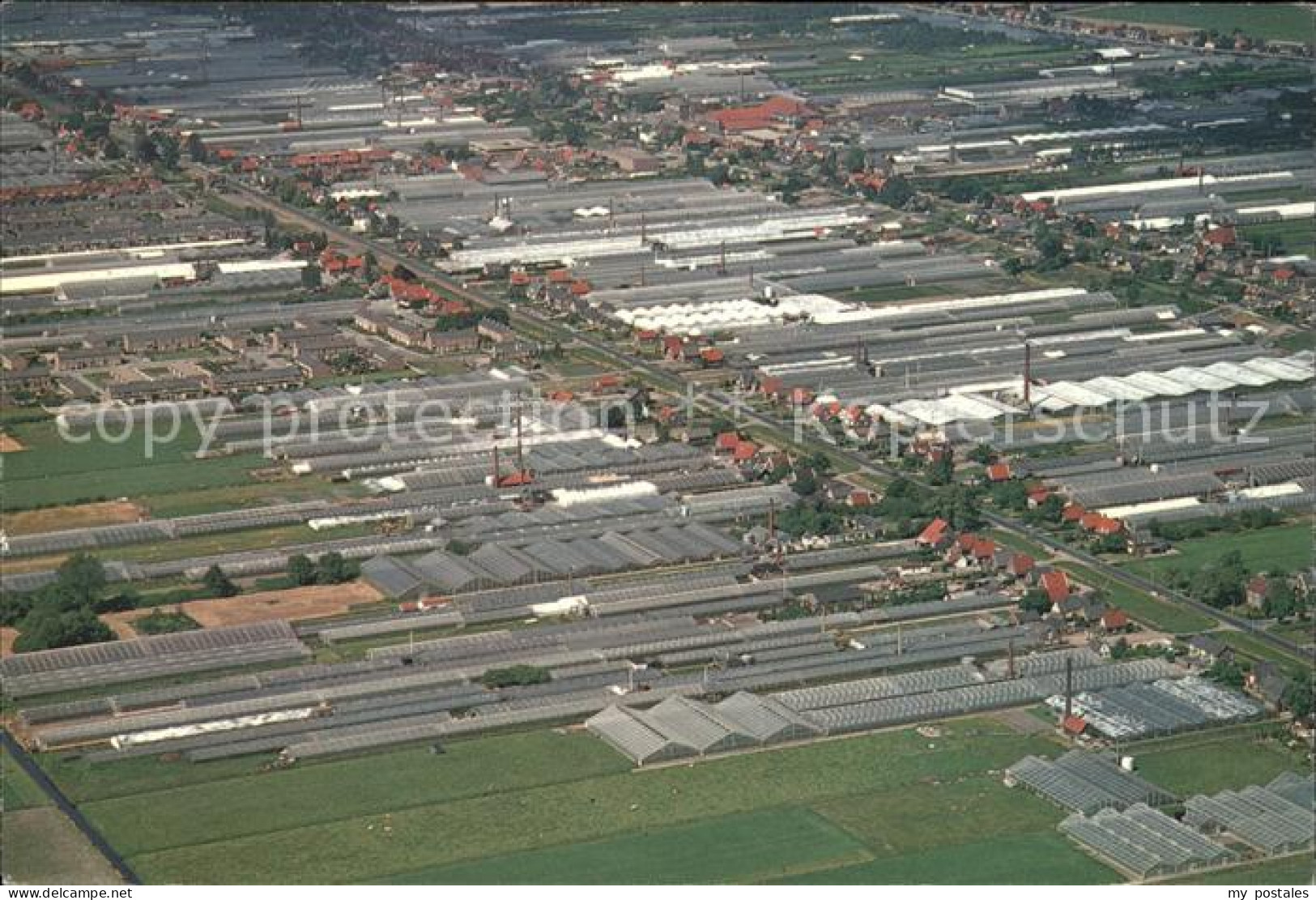 Aalsmeer Flower Market aerial view