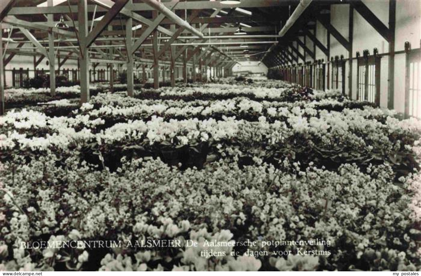 Aalsmeer NL Bloemencentrum