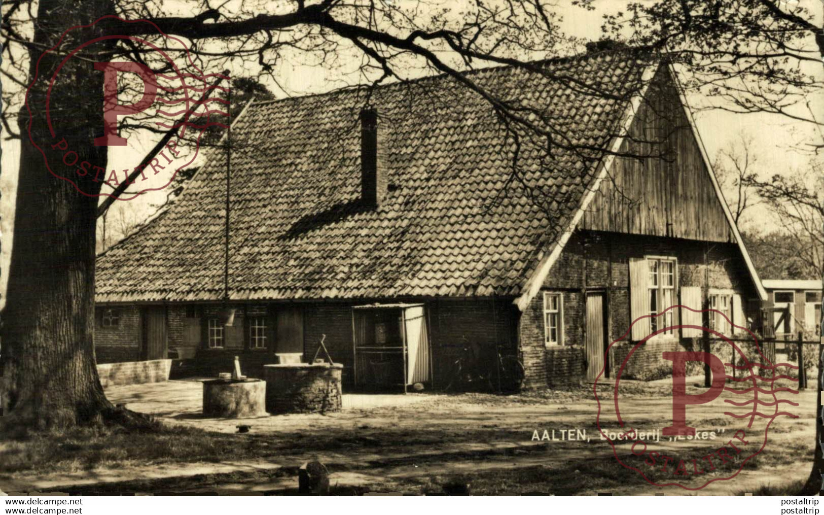 Aalten Boerderij Eskes   GELDERLAND  HOLLAND HOLANDA NETHERLANDS