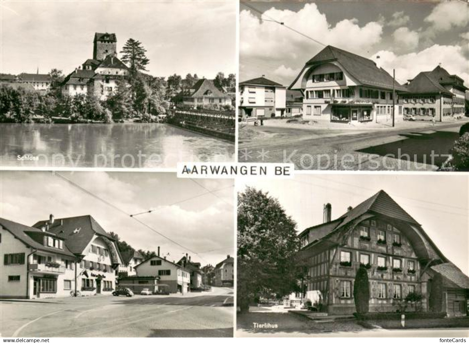 Aarwangen Tierlihus Schloss