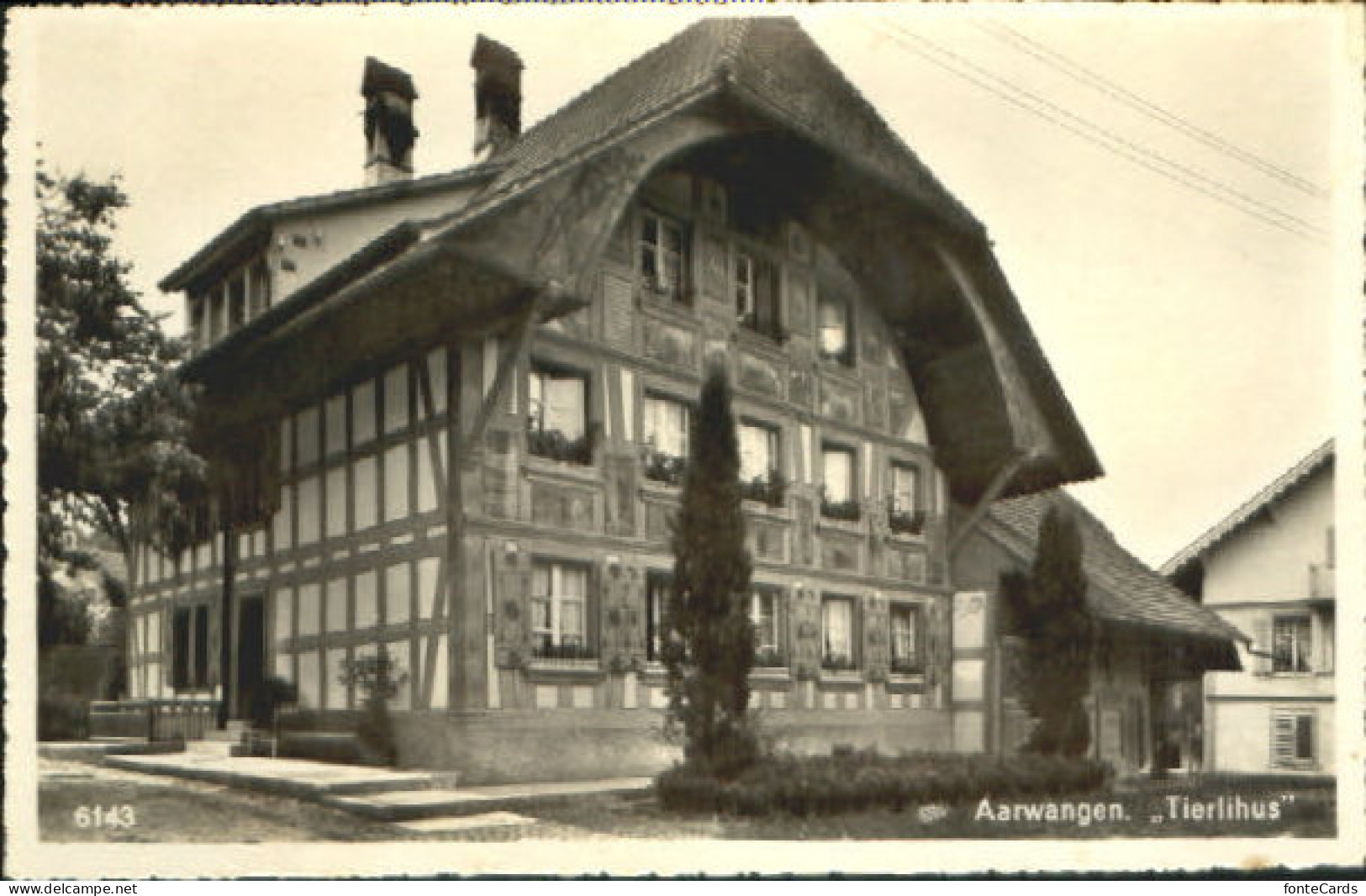 Aarwangen Tierlihus x 1951