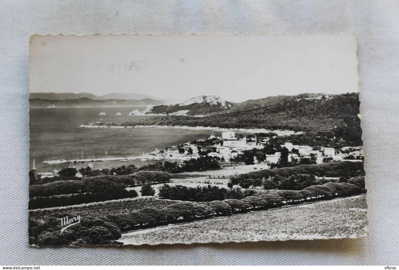 AB854/3, Cpsm,  ile de Porquerolles, vue générale, Var 83