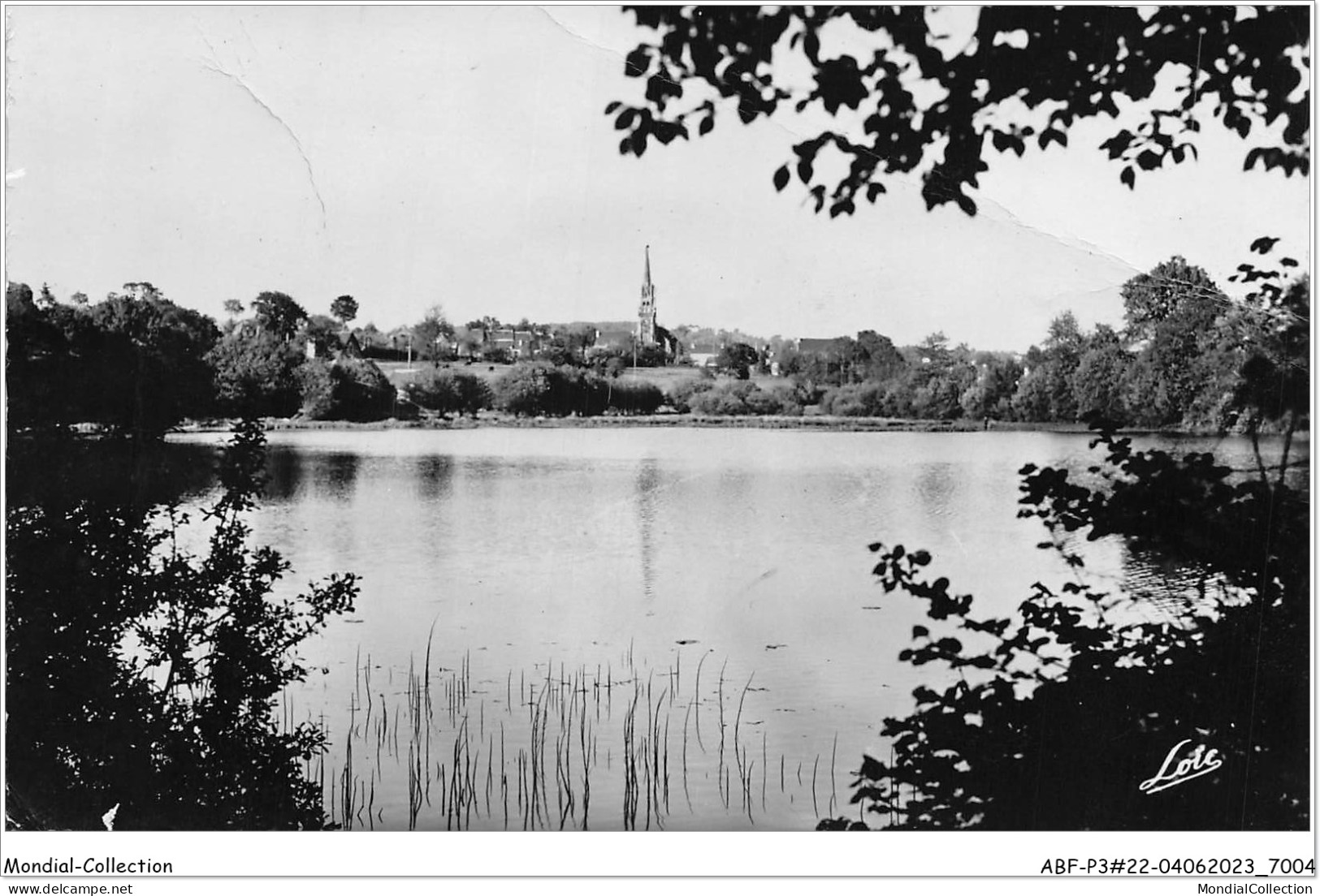 ABFP3-22-0207 - SAINT-GILLES-VIEUX-MARCHE - Etang De Poulancre