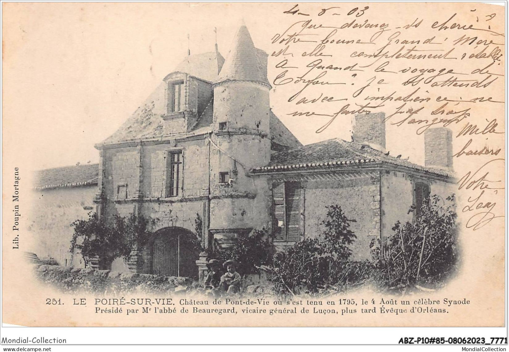 ABZP10-85-0834 - LE POIRE SUR VIE - Chateau de pont de vie