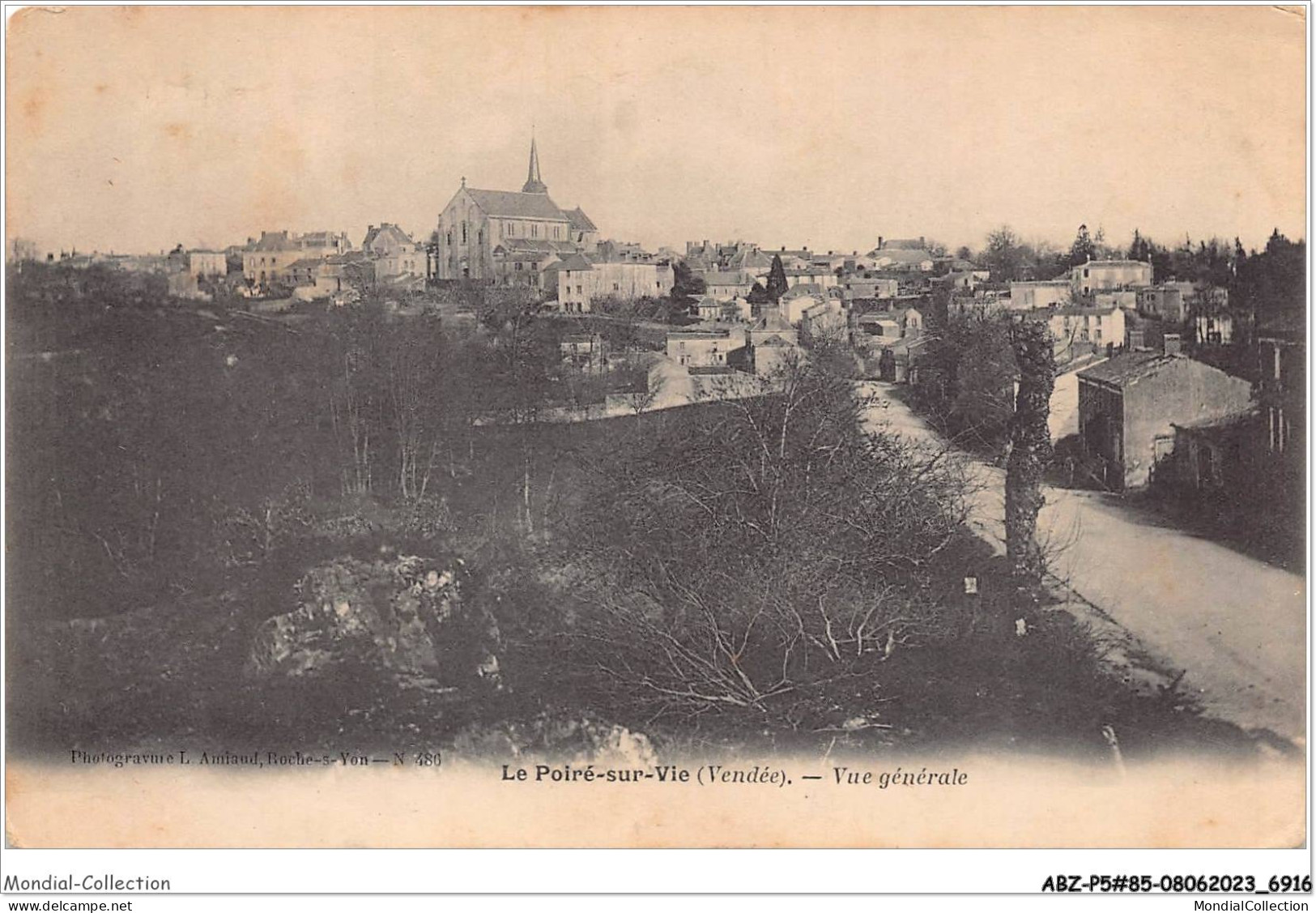 ABZP5-85-0405 - POIRE SUR VIE - Vue générale