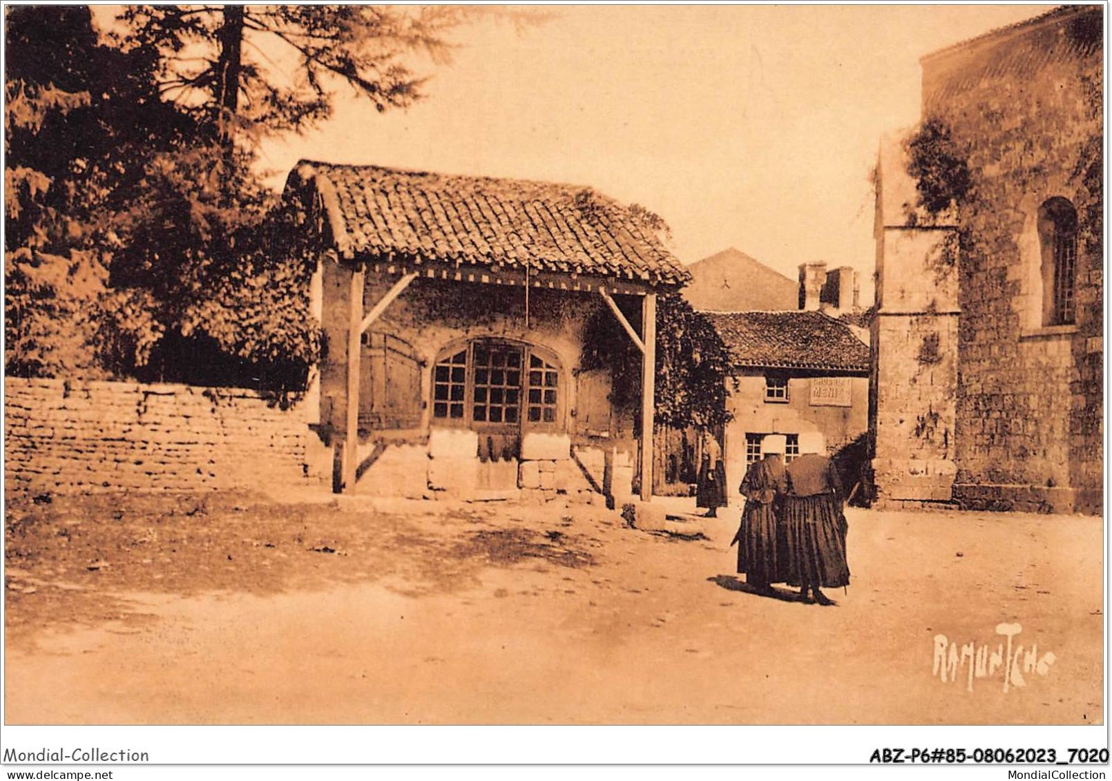 ABZP6-85-0457 - SAINT HILAIRE SUR DES LOGES - Avenue des naudieres