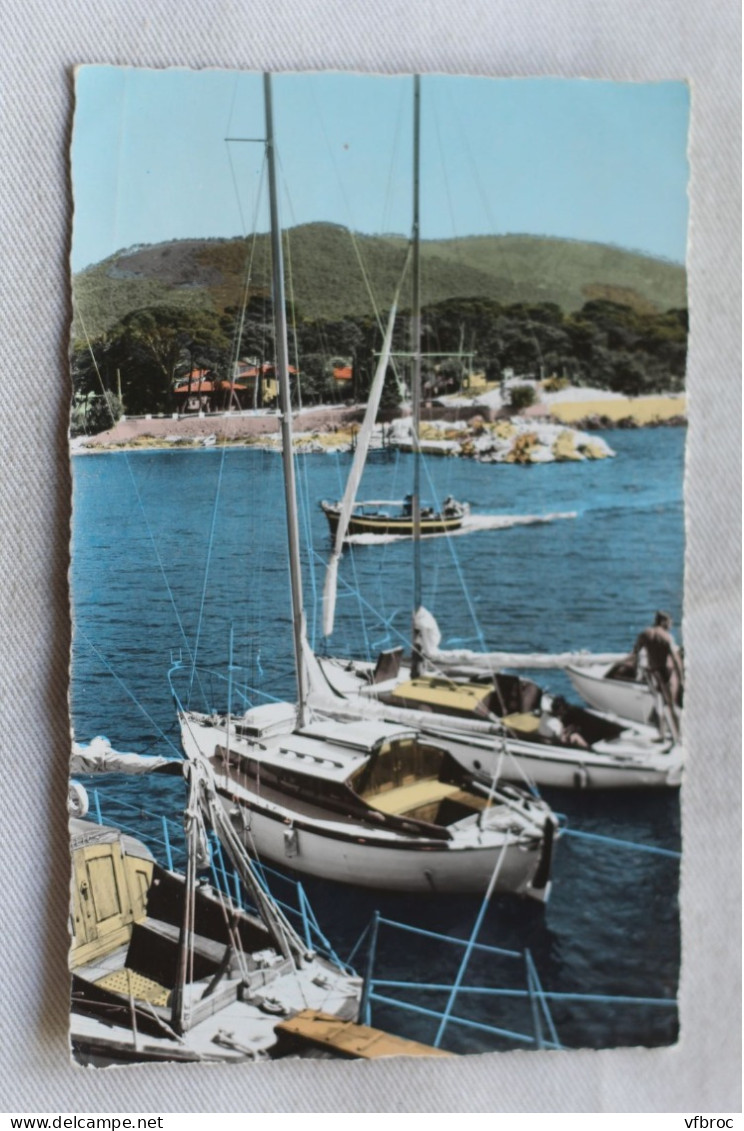 AC174/3, Cpsm 1961, Carqueiranne, le port des Salettes, Var 83