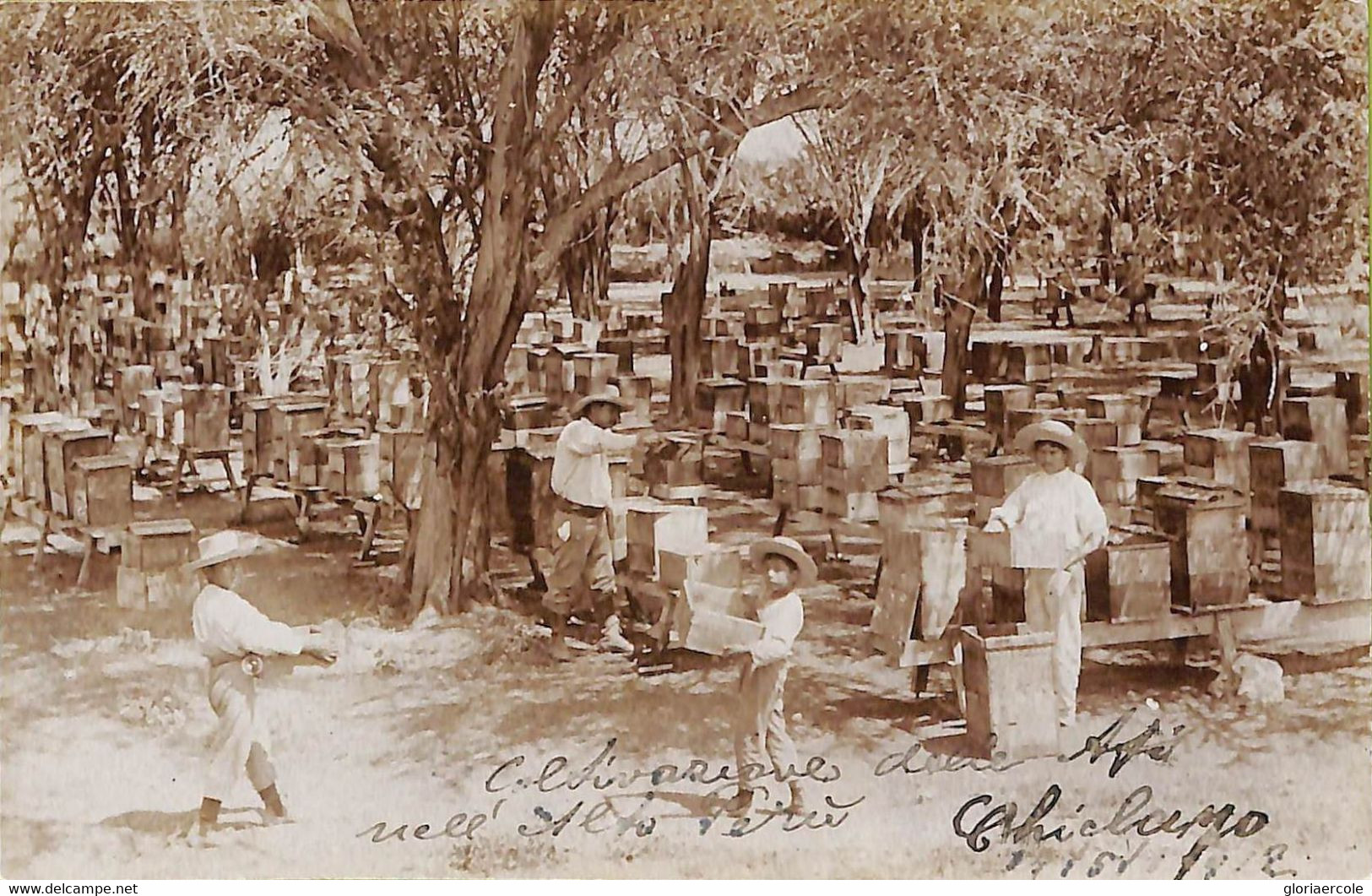 ac1750 - PERU  -  Vintage Postcard   -  Chiclayo - 1912