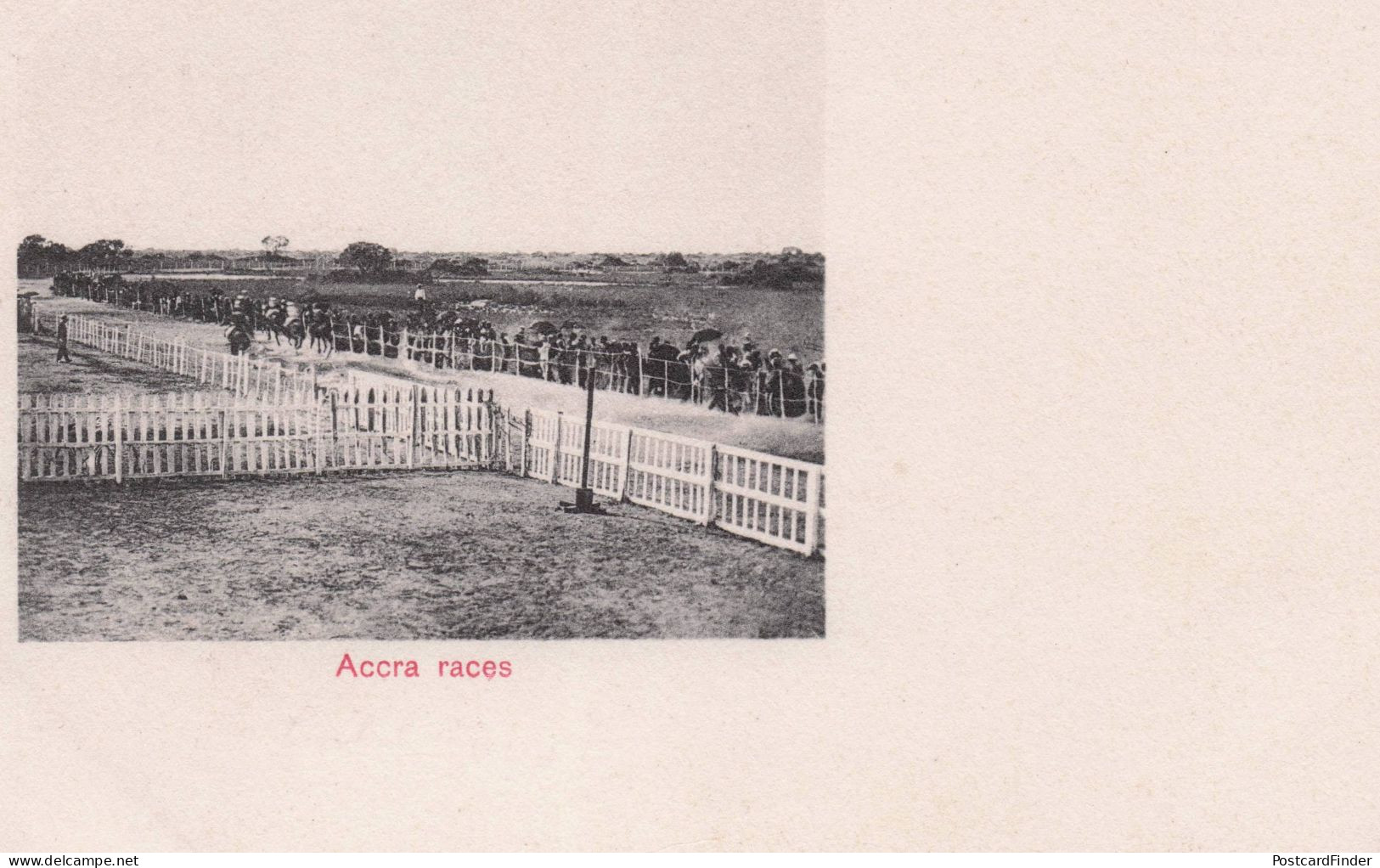 Accra Horse Races Racing Gold Coast Australia Antique Postcard