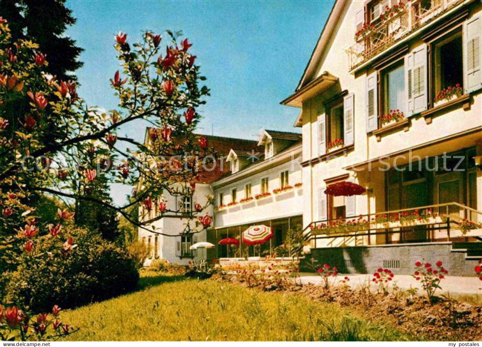 Achern Baden Kneippkurhaus Sanatorium Marienheim Erlenbad Baumbluete