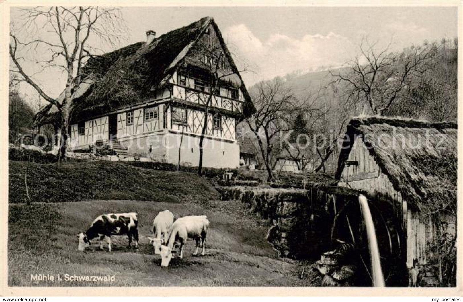 Achern Baden Schwarzwald Muehle