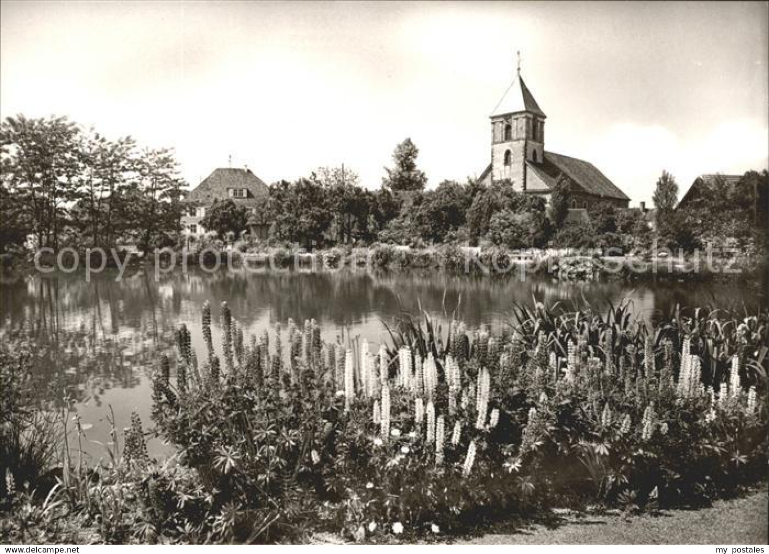 Achern Baden Stadtgarten
