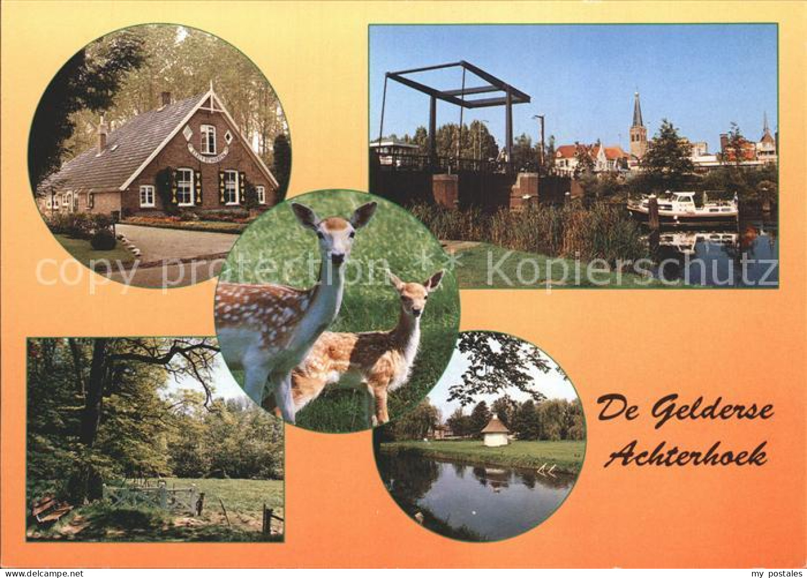 Achterhoek Gelderland Rehe Boot