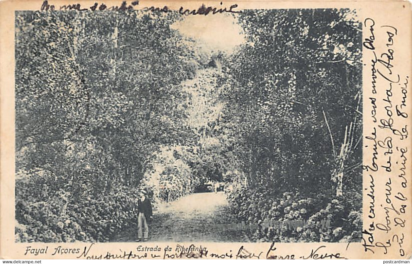 Açores - FAYAL - Estrada da Ribeirinha - Ed. desconhecido