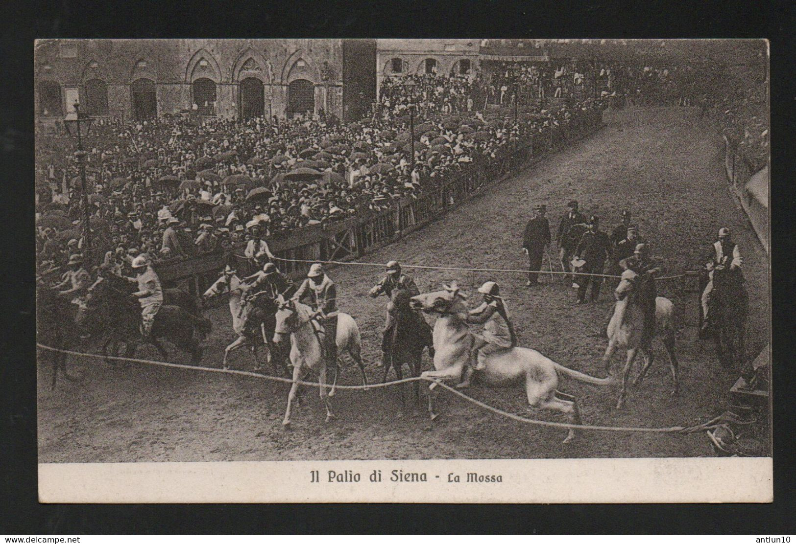 $#$#(AD2511)-ITALIA- SIENA-Il Palio di Siena - La Mossa  nuova  Edizioni Venturini Siena