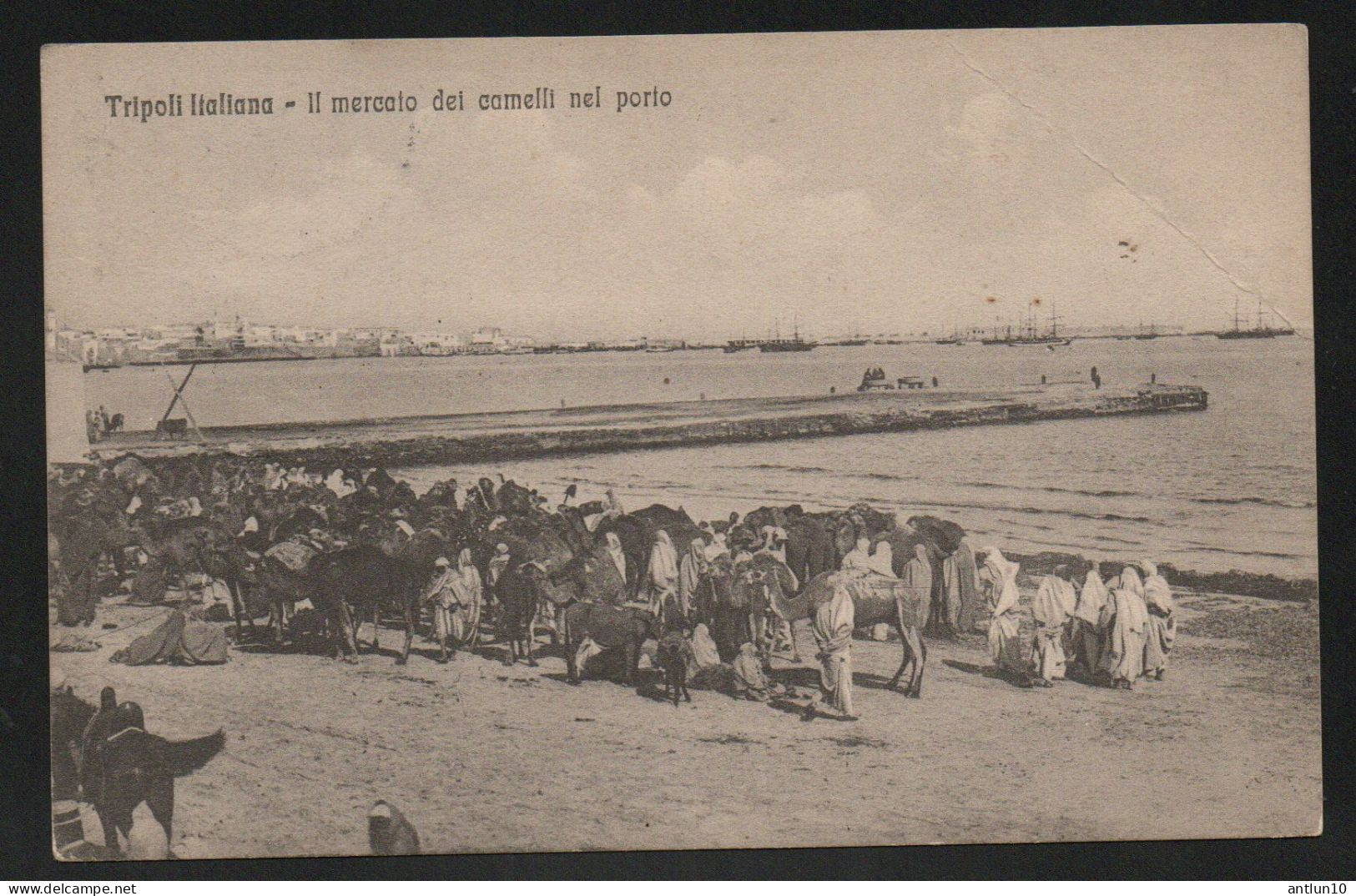 $#$#(AD2601)-LIBIA-TRIPOLI-Il mercato dei cammelli nel porto, usata 1911