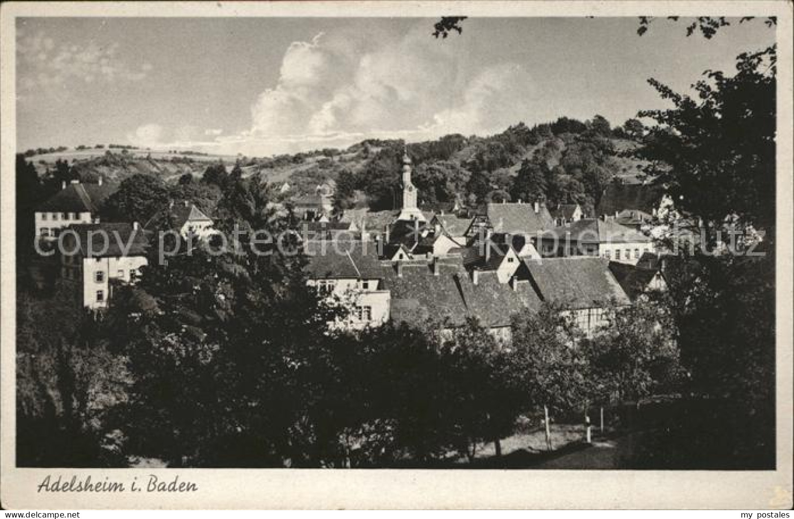 Adelsheim