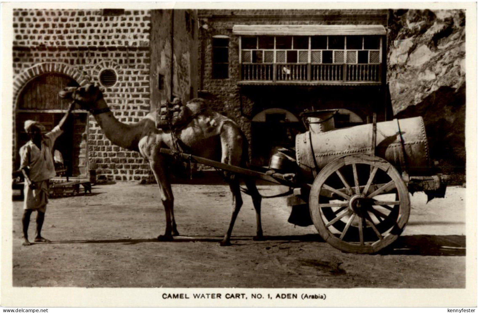 Aden - Camel water cart - Jemen