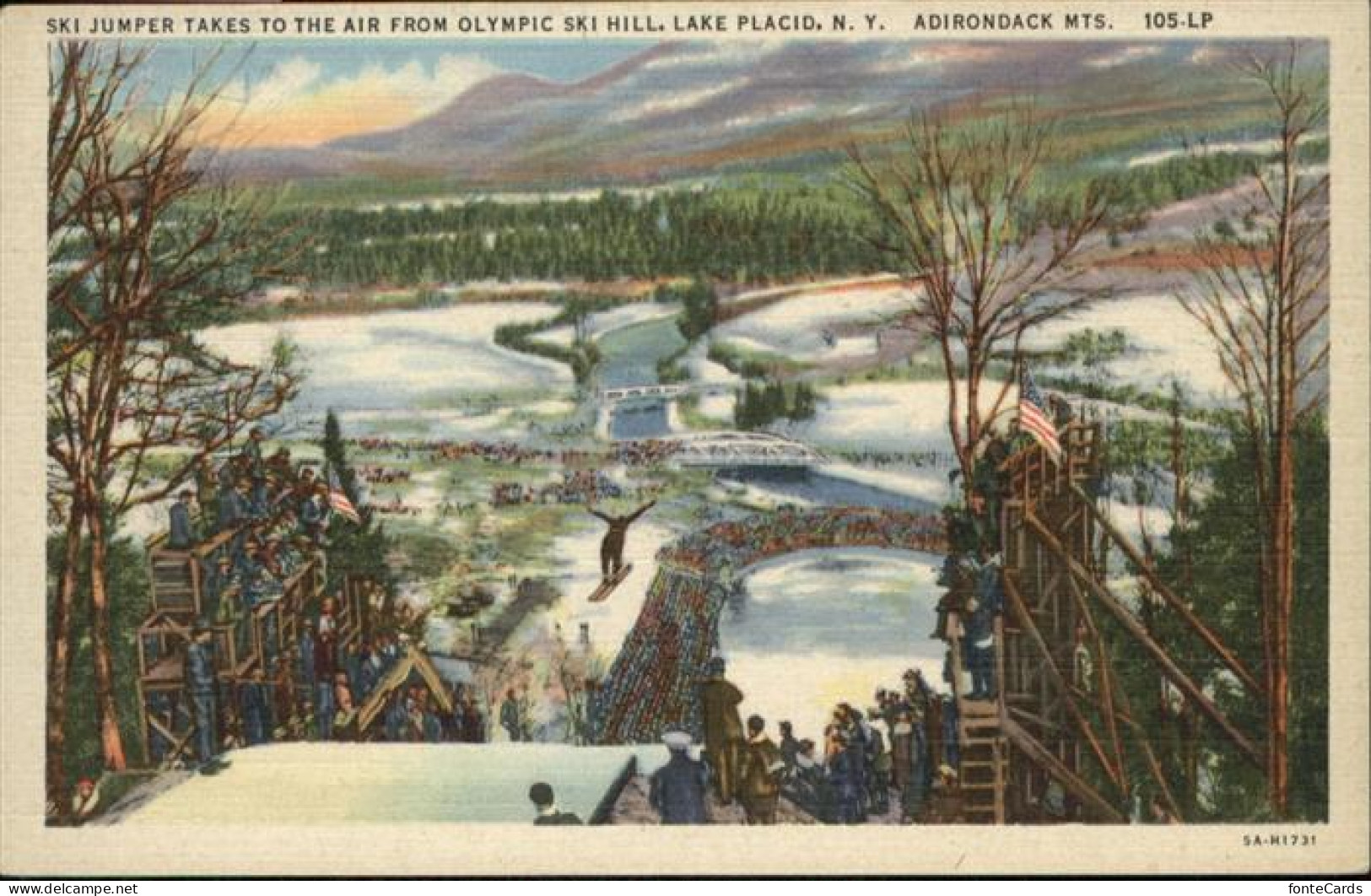 Adirondack Ski Jumper