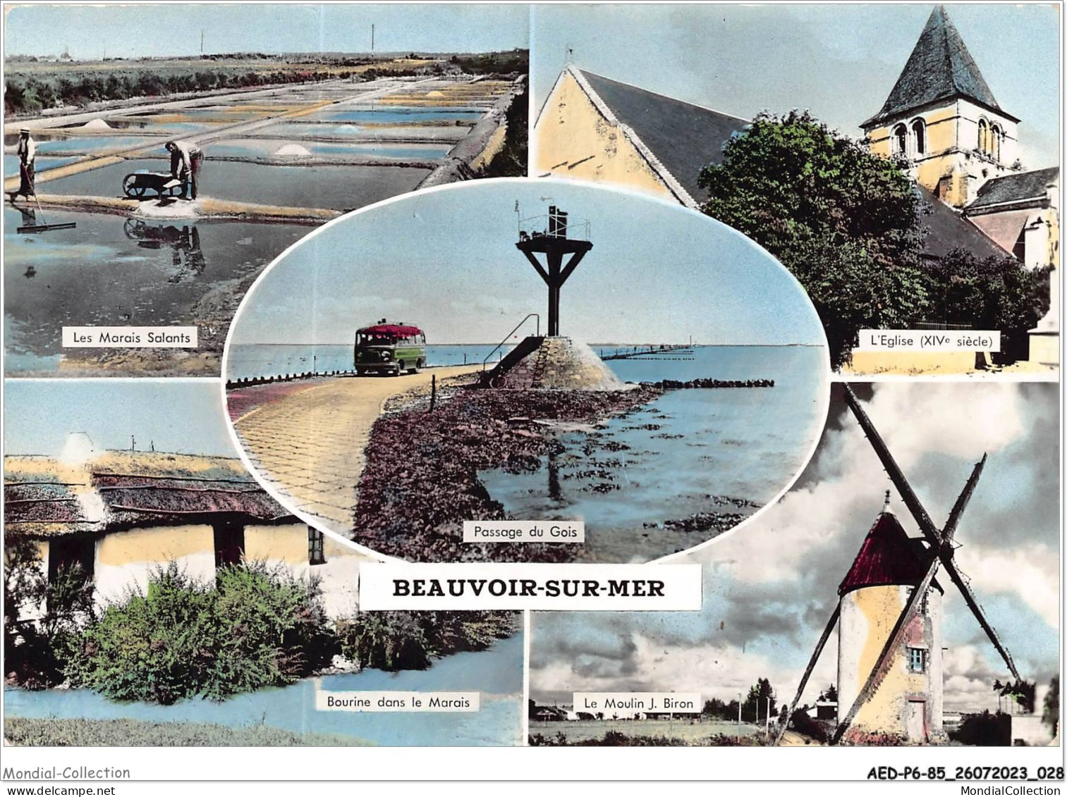 AEDP6-85-0461 - BEAUVOIR-SUR-MER