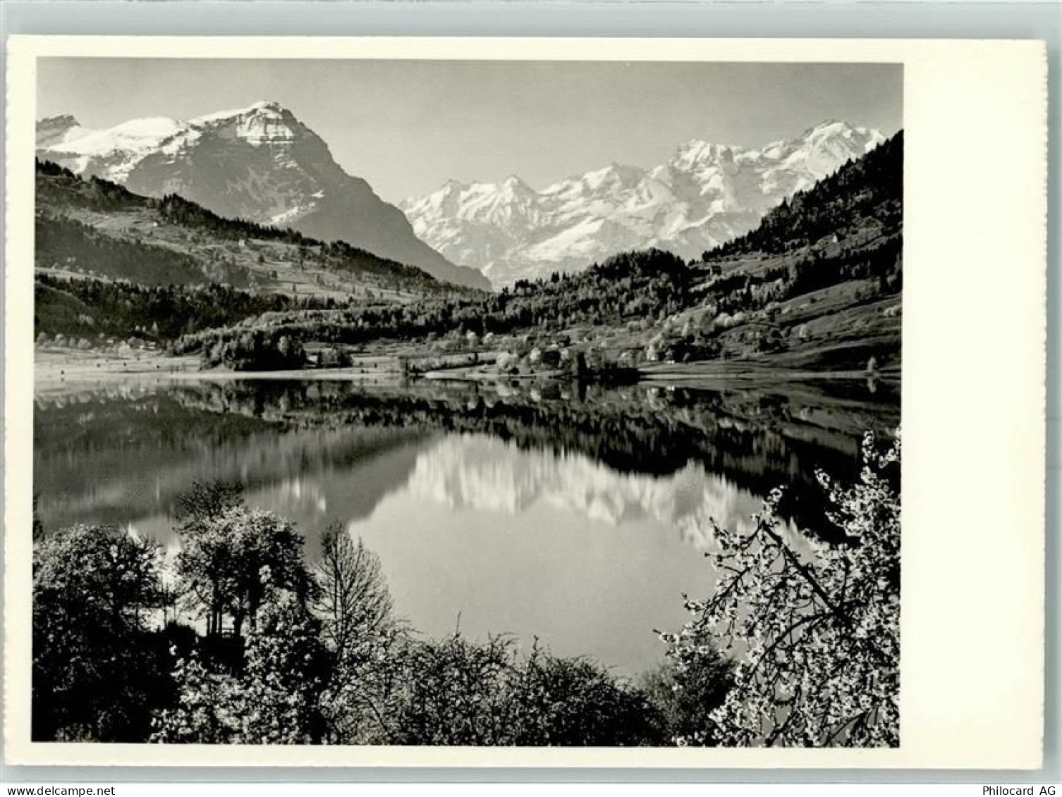 Aegerisee - 10390940