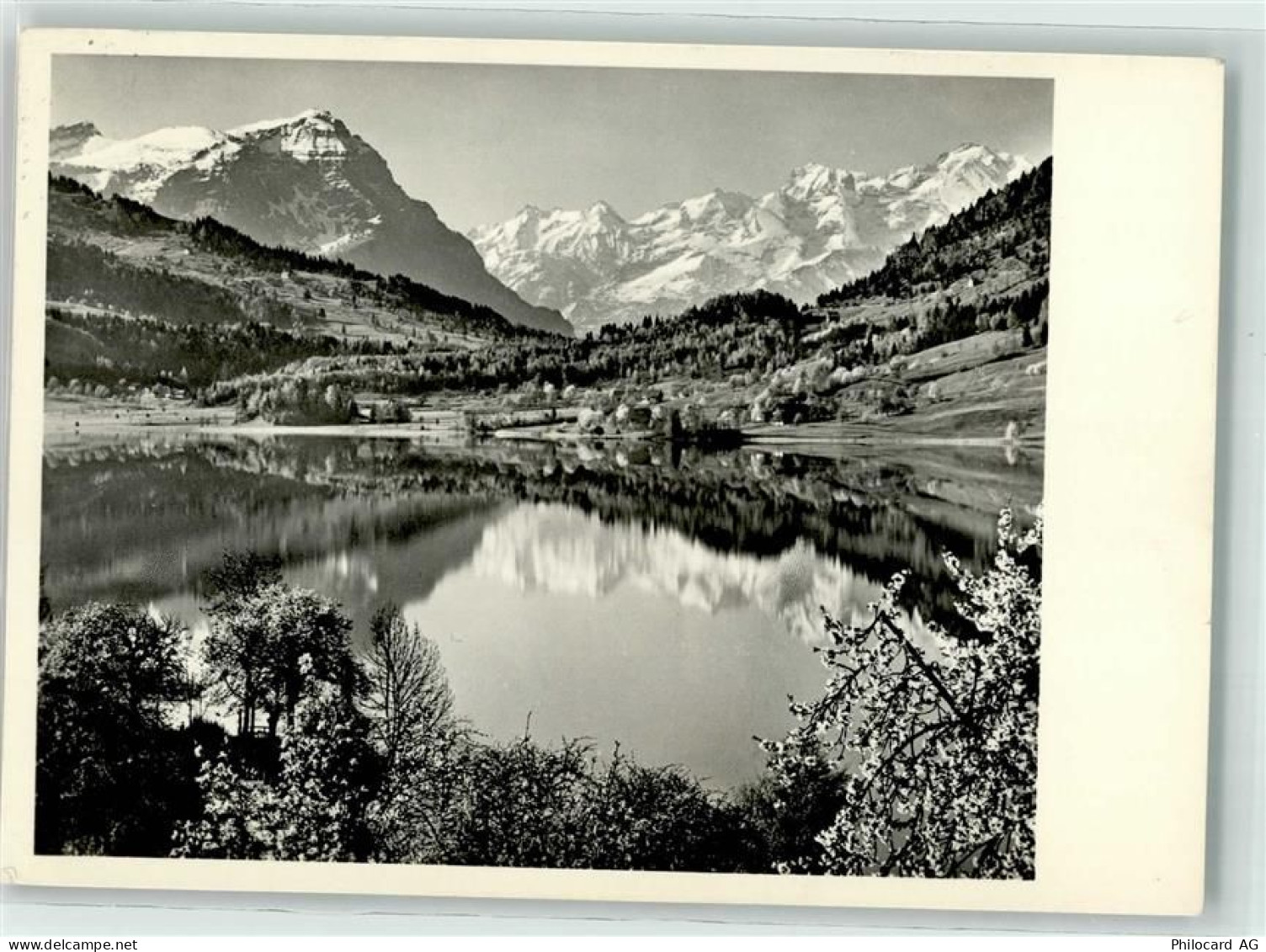 Aegerisee - 39402338