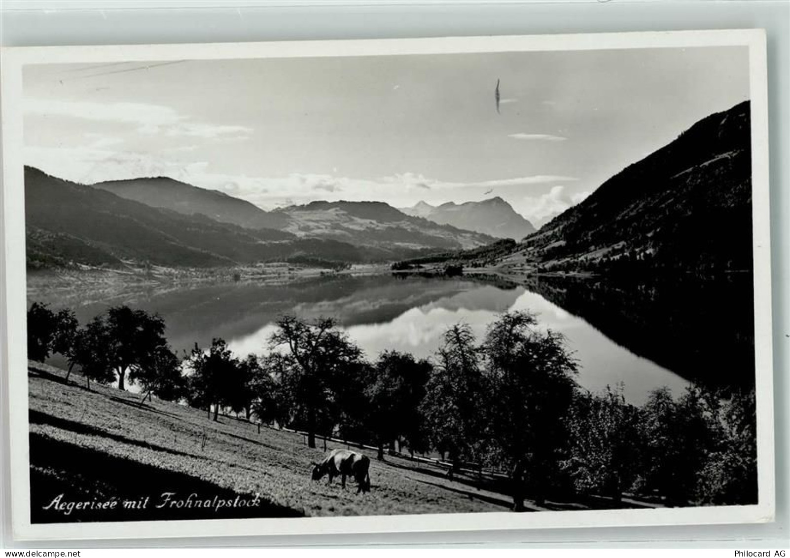 Aegerisee - Frohnalpstock - 39407582