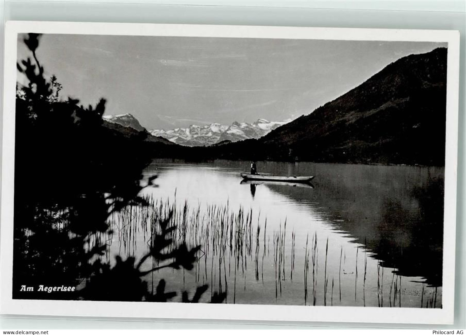 Aegerisee - Kahn - 39377394