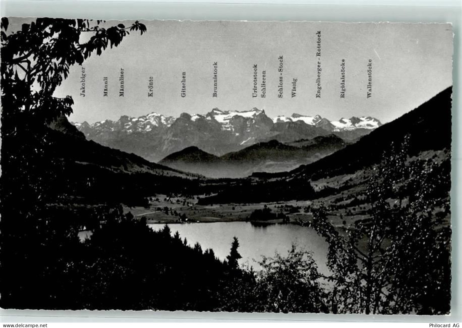 Aegerisee - Kuranstalt Ländli Panorama - 10282452