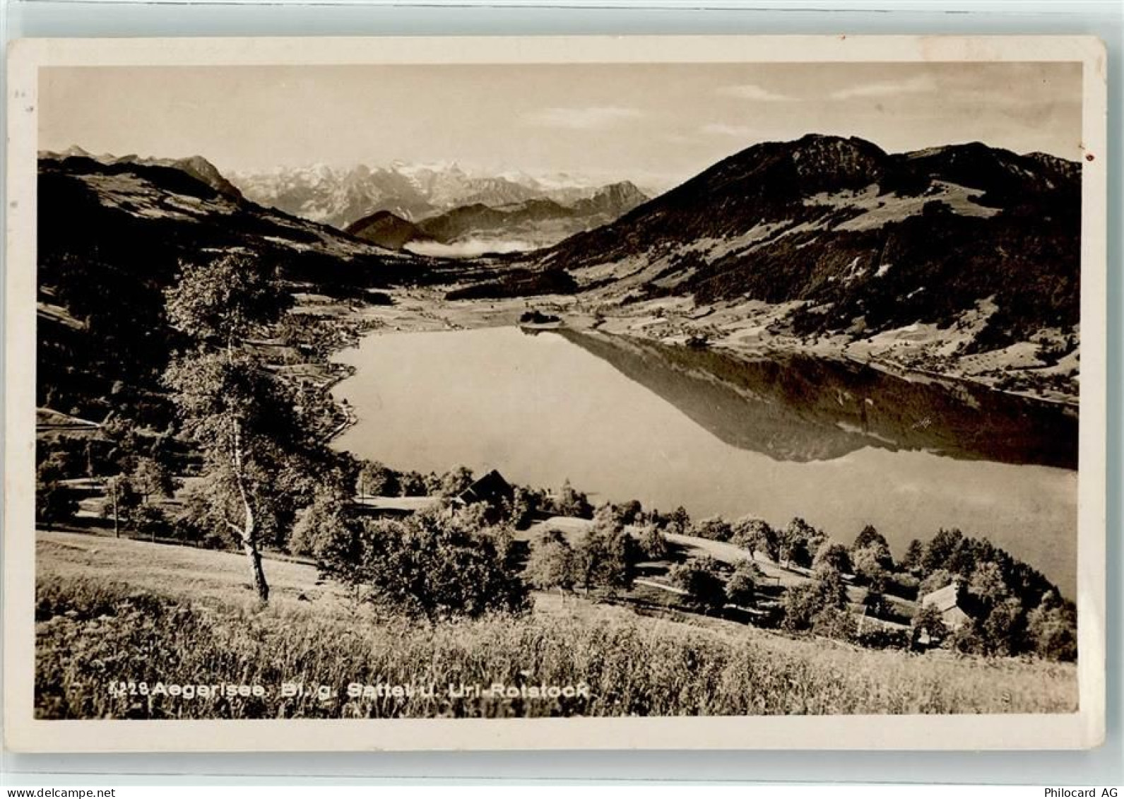 Aegerisee - Sattel Urirotstock - 39495237