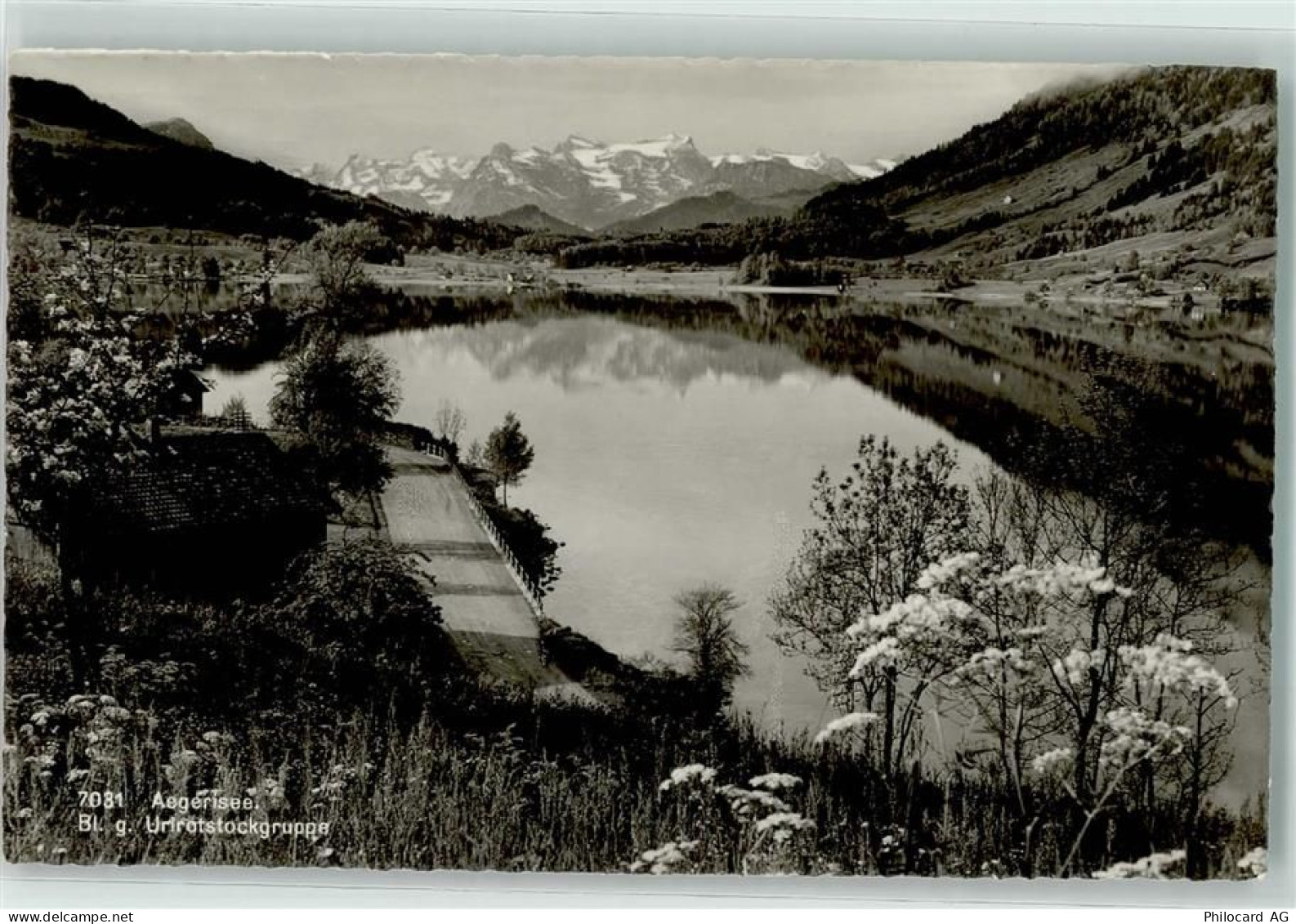 Aegerisee - Urirotstockgruppe - 39377370