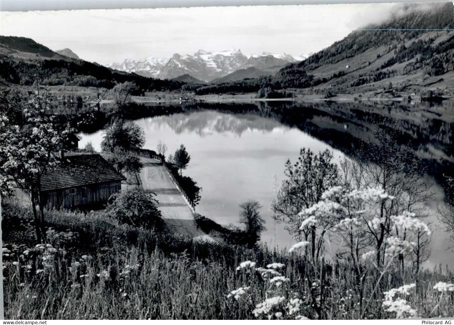 Aegerisee - Urirotstockgruppe - 50799419