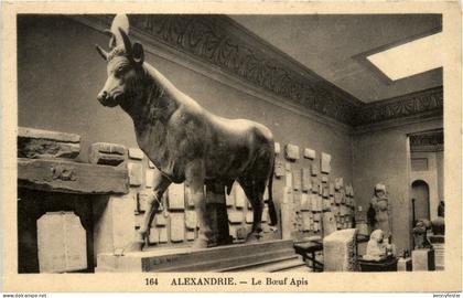 Alexandria - Le Boeuf Apis